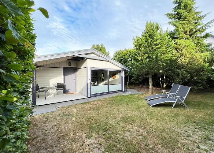 U Projektantek 假日公园 *